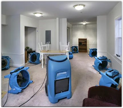 Drying & Dehumidification in San Marino, CA