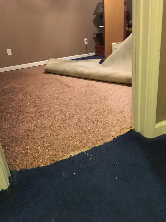 Carpet pad removal revealing water damage during Drying & Dehumidification in San Marino
