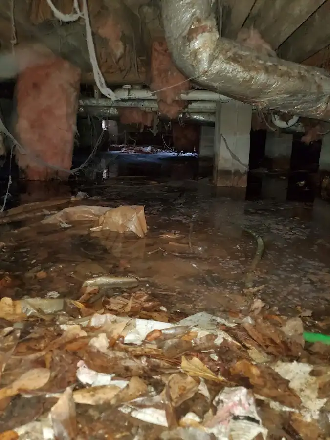 Crawl space flood assessment for Commercial Water Damage Restoration in San Marino