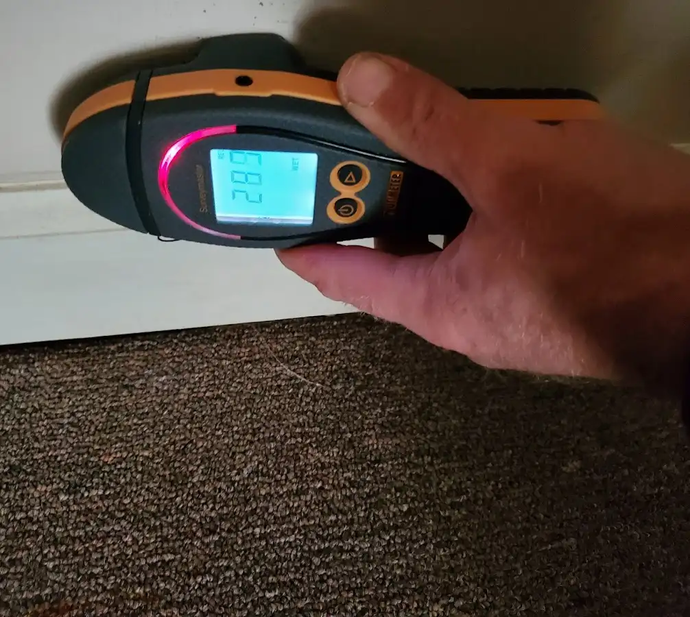 Moisture detection at baseboard during Sewage Cleanup & Sanitation in San Marino